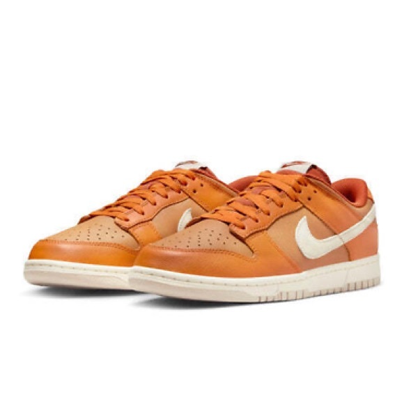 Brand New Nike Dunk Low Leather Men's Shoes HJ9121 815